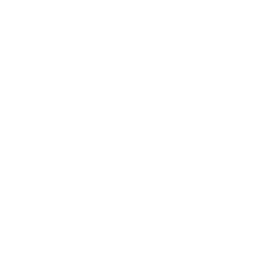 Fully Legal Online Will only GBP 24