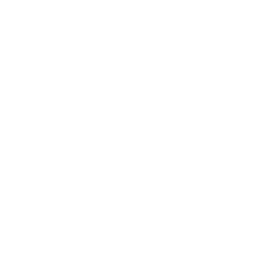Mirror Wills only GBP 18 each